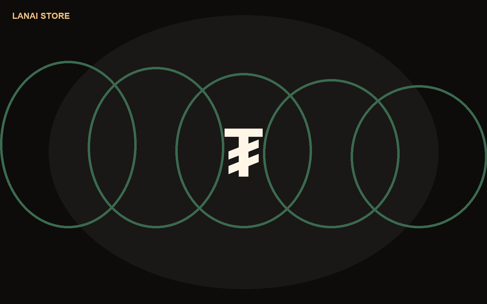 flash USDT software store cover